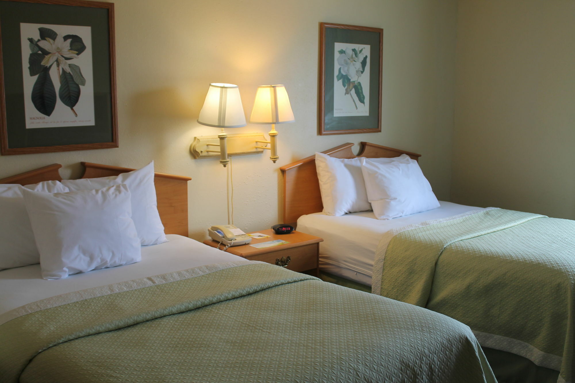 Days Inn & Suites By Wyndham Bridgeport - Clarksburg מראה חיצוני תמונה